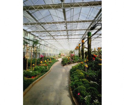 溫室規劃園區